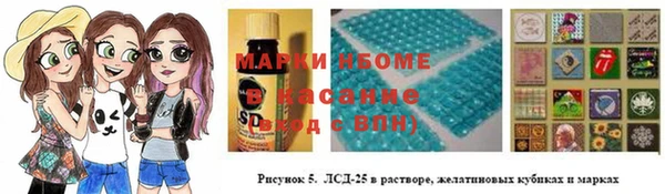 PSILOCYBIN Корсаков