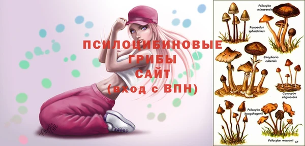 эйфоретик Абдулино