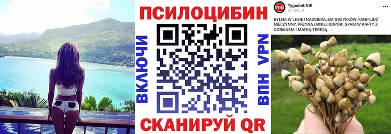 Псилоцибиновые грибы мицелий  что такое   Волоколамск 