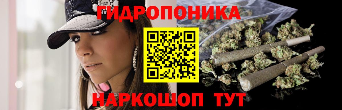 Канабис гибрид Волоколамск